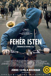 Fehér isten (2014) film adatlap