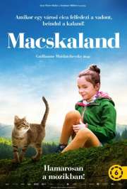 Macskaland (Mon chat et moi, la grande aventure de Rroû / A Cat's Life) (2023) film adatlap