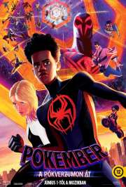 Pókember - A pókverzumon át (Spider-Man: Across the Spider-Verse) (2023) film adatlap