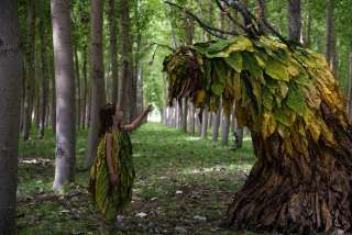 A dohánypajta (Secaderos) (2022) film adatlap