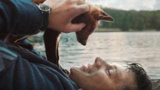 Der Fuchs film adatlap