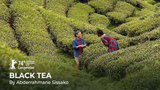 A tea illata (Black Tea) (2024) film adatlap