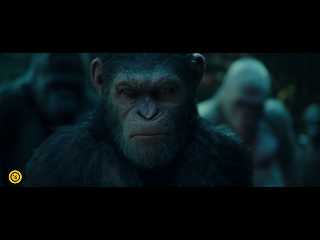 A majmok bolygója - Háború filmelőzetes