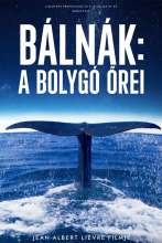 Bálnák: A bolygó őrei (2023) - Magyar poszter