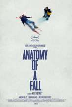 Anatomy of a Fall (2023) - Angol poszter