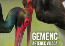 Gemenc - Árterek világa (2017)