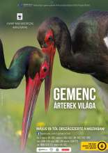 Gemenc - Árterek világa (2017) - Magyar poszter