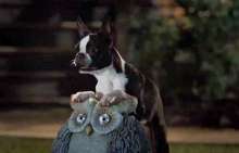 Kivert kutyák (Strays) (2023)