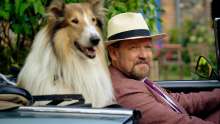 Lassie - Állati mentőakció (Lassie - Ein neues Abenteuer / Lassie: A New Adventure) (2023)