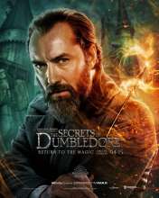 Jude Law - Legendás állatok: Dumbledore titkai (2022) - Karakter poszter (27923)